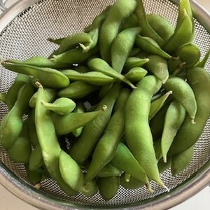 冷凍枝豆の美味しい茹で方